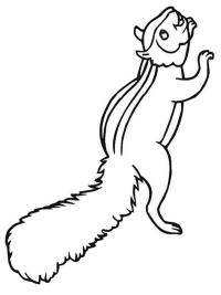 Orava