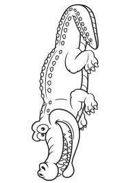 Krokotiili