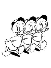 Tupu, Hupu ja Lupu