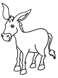 Aasi