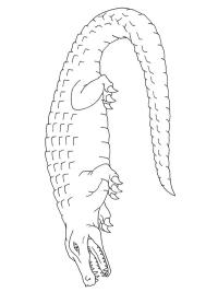 Krokotiili