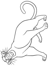 Musta pantteri Bagheera