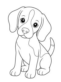 Beaglen pentu