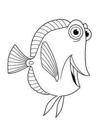 Kupla (Nemoa etsim&auml;ss&auml;)