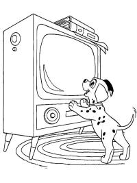 Dalmatialainen katsoo TV:tä