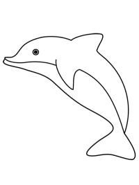 Delfiini