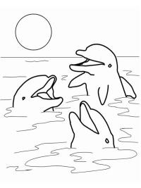 Delfiinit meressä