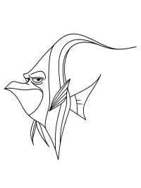 Gill (Nemoa etsimässä)