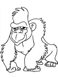 Hauska gorilla