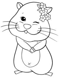 Hauska hamsteri