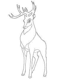 Metsän ruhtinas (Bambi)