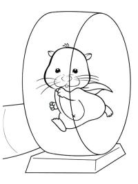 Hamsteri leikkii juoksupy&ouml;r&auml;ss&auml;