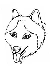 Huskyn p&auml;&auml;