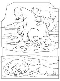 J&auml;&auml;karhu