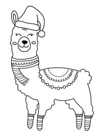 Joulualpakka