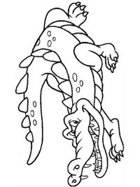 Krokotiili