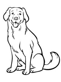 Labradorinnoutaja