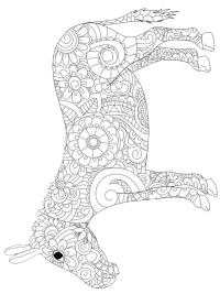 Aasimandala