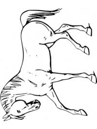 Hevonen