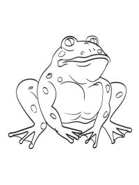 Rupikonna