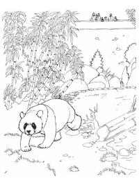 Panda el&auml;intarhassa