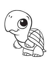 S&ouml;p&ouml; kilpikonna