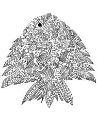 Kala aikuisille