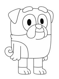 Englanninbuldoggi Vinski (Tuuri/Bluey)